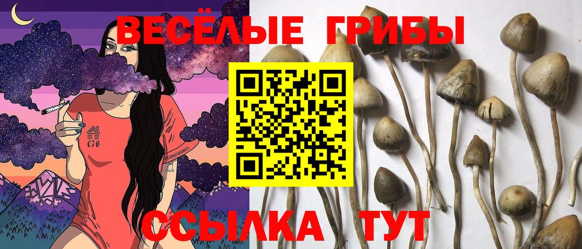 Псилоцибиновые грибы ЛСД  Вход с VPN  Минеральные Воды 
