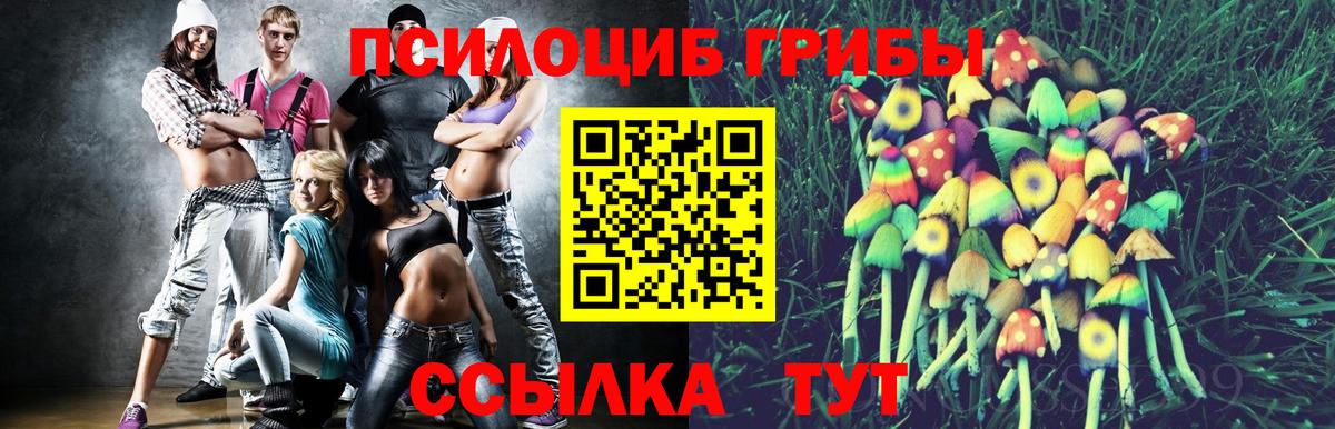 Галлюциногенные грибы GOLDEN TEACHER Минеральные Воды
